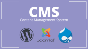 kepanjangan cms adalah